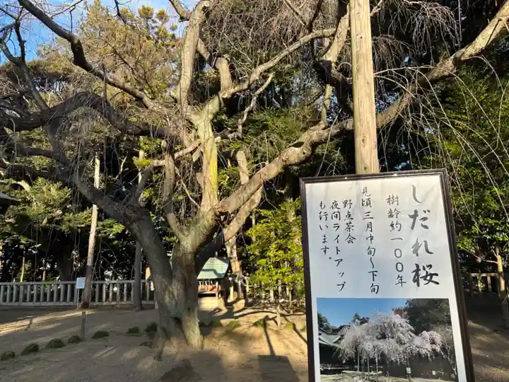 常陸第三宮 吉田神社(茨城県)