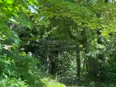 菱野健功神社の鳥居