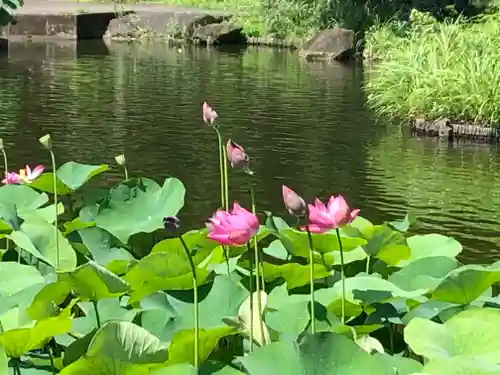大國魂神社の周辺