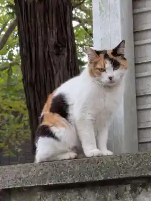 下高井戸八幡神社(東京都)