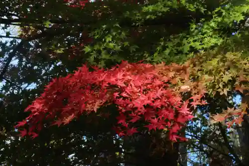 国宝 大法寺の自然
