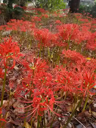 沙沙貴神社(滋賀県)