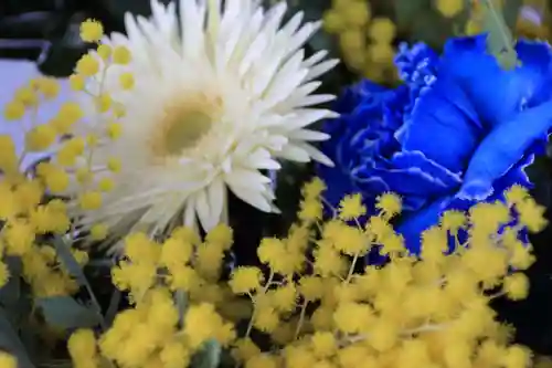 豊景神社の手水舎