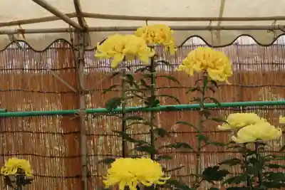 高麗神社のその他建物