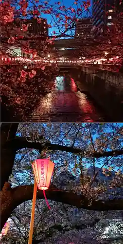上目黒氷川神社(東京都)