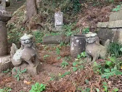 春日神社の狛犬
