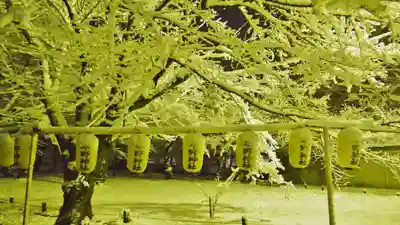 平野神社のその他建物