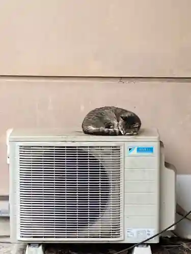 白金氷川神社の動物