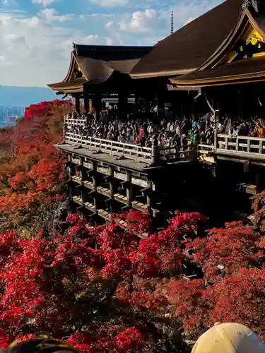 清水寺(京都府)