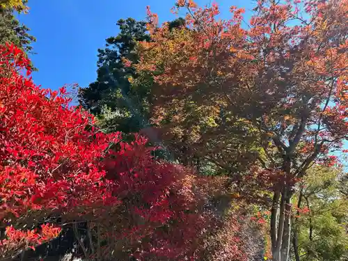 鏡石鹿嶋神社 ＊安産・開運・勝利の神さま＊(福島県)