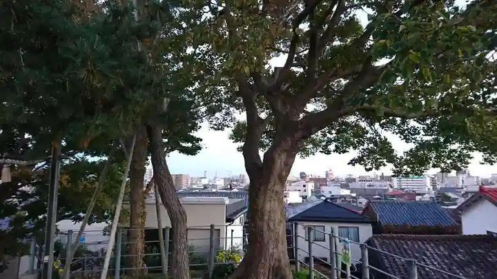 住吉神社の自然