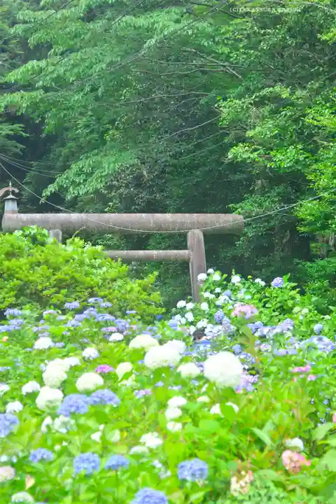 太平山神社の自然