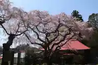 常林寺の景色