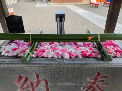 草加神社(埼玉県)