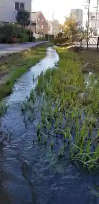 久蔵稲荷大明神の周辺