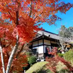 秋葉總本殿可睡斎(静岡県)