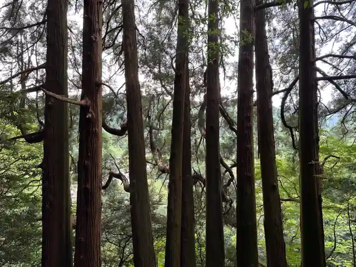 天岩戸神社(宮崎県)