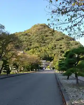 愛媛縣護國神社の景色