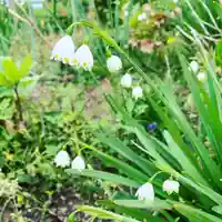 豊景神社の自然