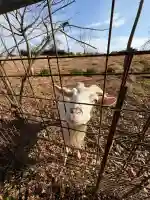 田尾山大師堂(徳島県)