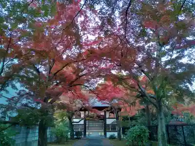正樂寺(宮城県)