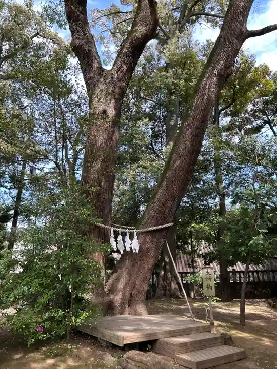 武蔵一宮氷川神社(埼玉県)