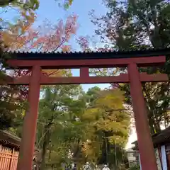 武蔵一宮氷川神社の鳥居