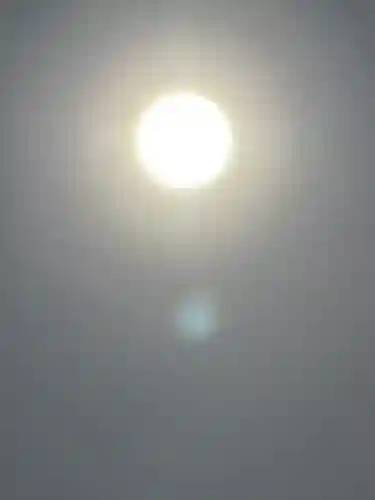 櫻木神社(千葉県)