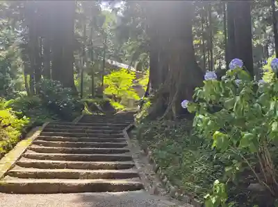 最乗寺（道了尊）(神奈川県)