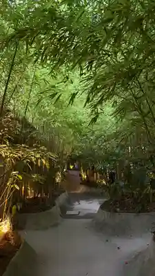 來宮神社(静岡県)