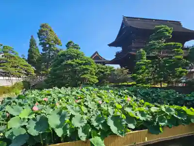 善光寺大勧進(長野県)