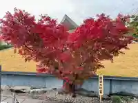 伊勢の国 四天王寺の自然