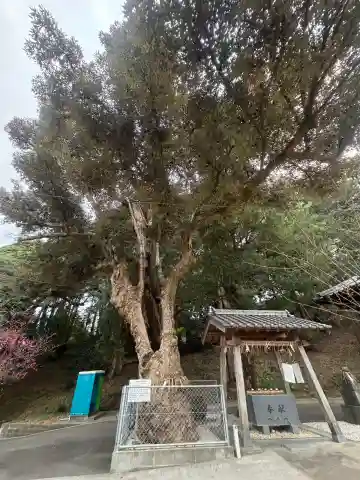 荻浦神社(福岡県)