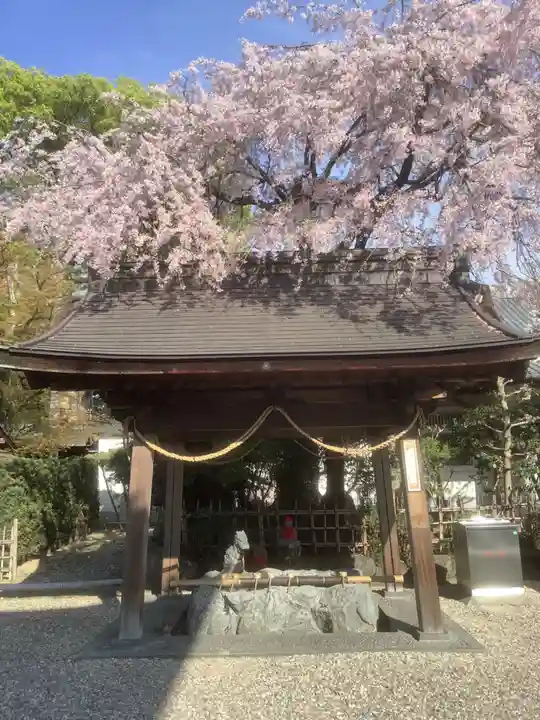 龍泉寺の手水舎