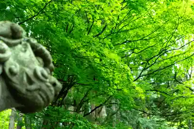 戸隠神社宝光社(長野県)