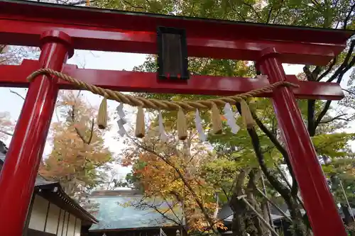 蠶養國神社の鳥居