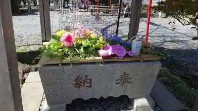 鹿島神社の手水舎