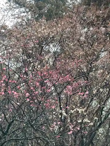 千代ケ岡八幡宮(栃木県)