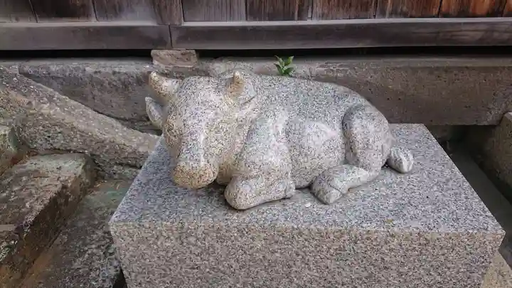 赤羽八幡神社の狛犬