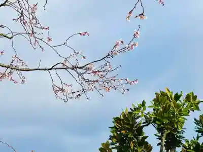 要泉寺(三重県)