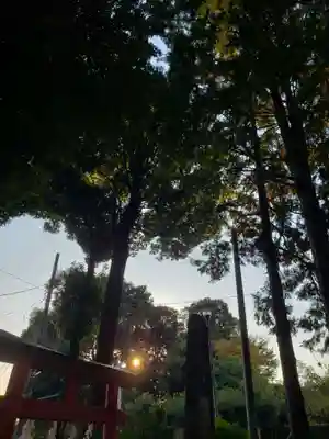 春日神社のその他建物