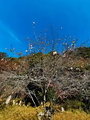 安国寺(京都府)