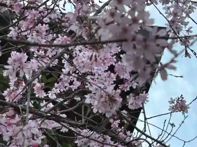 鷲尾愛宕神社の{uncategorized: "未分類", other: "その他", undefined: "問題あり", building: "その他建物", grave: "お墓", sacred_gate: "鳥居", guardian: "狛犬", statue: "像", buddha: "仏像", history: "歴史", nature: "自然", garden: "庭園", animal: "動物", pagoda: "塔", temizu: "手水舎", mountain_gate: "山門・神門", sanctuary: "本殿・本堂", subordinate: "末社・摂社", art: "芸術", scenery: "景色", jizo: "地蔵", ema: "絵馬", goshuin: "御朱印", omikuji: "おみくじ", items: "授与品その他", amulet: "お守り", goshuincho: "御朱印帳", eats: "食事", festival: "お祭り", votive_dance: "神楽", shichigosan: "七五三参", wedding: "結婚式", experience: "体験その他", initially: "初詣", around: "周辺", anti_infection: "感染症対策"}