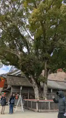 勝尾寺(大阪府)