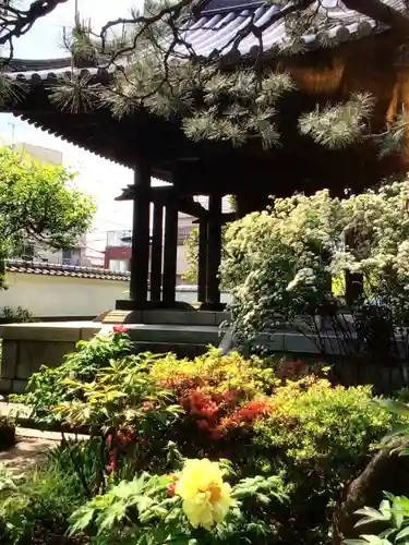 圓照寺(東京都)