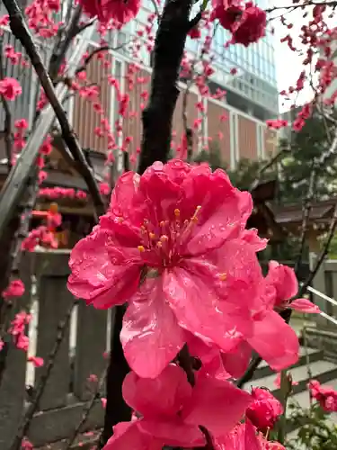 福徳神社（芽吹稲荷）(東京都)