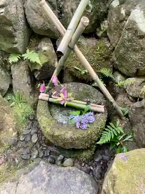 白龍神社の手水舎
