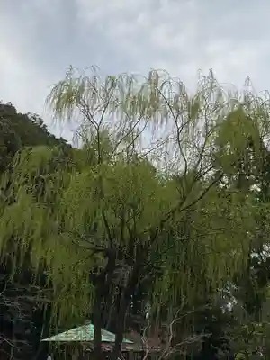 曹源寺(岡山県)