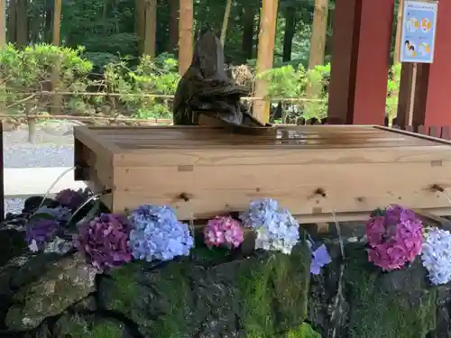 霧島神宮の手水舎