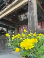 青井阿蘇神社(熊本県)